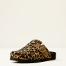 Leopard Hair On